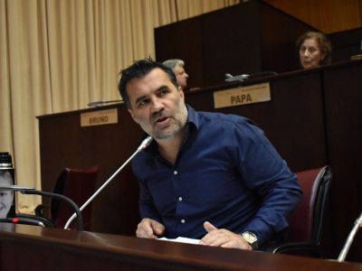 El diputado provincial Darío Martínez, durante uno de sus intervenciones en el recinto de la Cámara de Diputados.