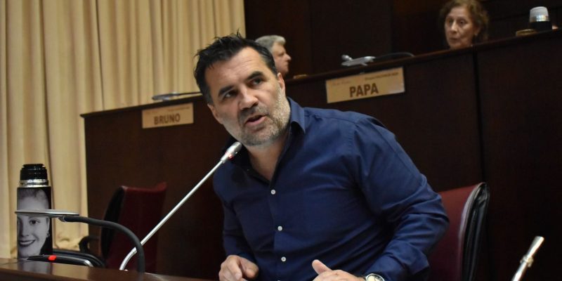 El diputado provincial Darío Martínez, durante uno de sus intervenciones en el recinto de la Cámara de Diputados.