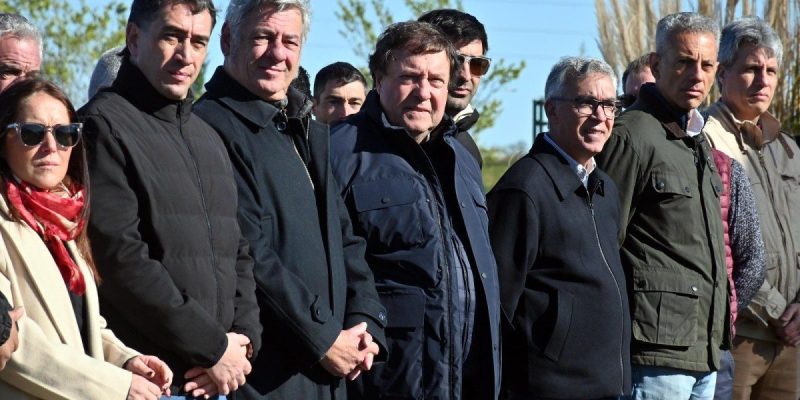 Ganadería patagónica mostró potencial en encuentro de Viedma