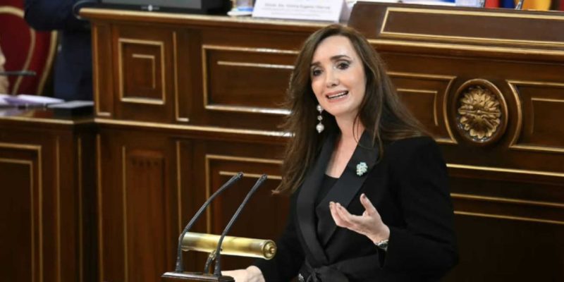 Encuesta 2027: cambios en voto nunca y posición de Villarruel
